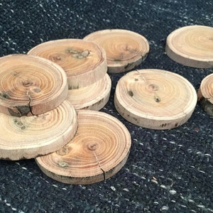 Rustic tree branch slices. Australian Eucalyptus. wood slices. Resin craft coasters.