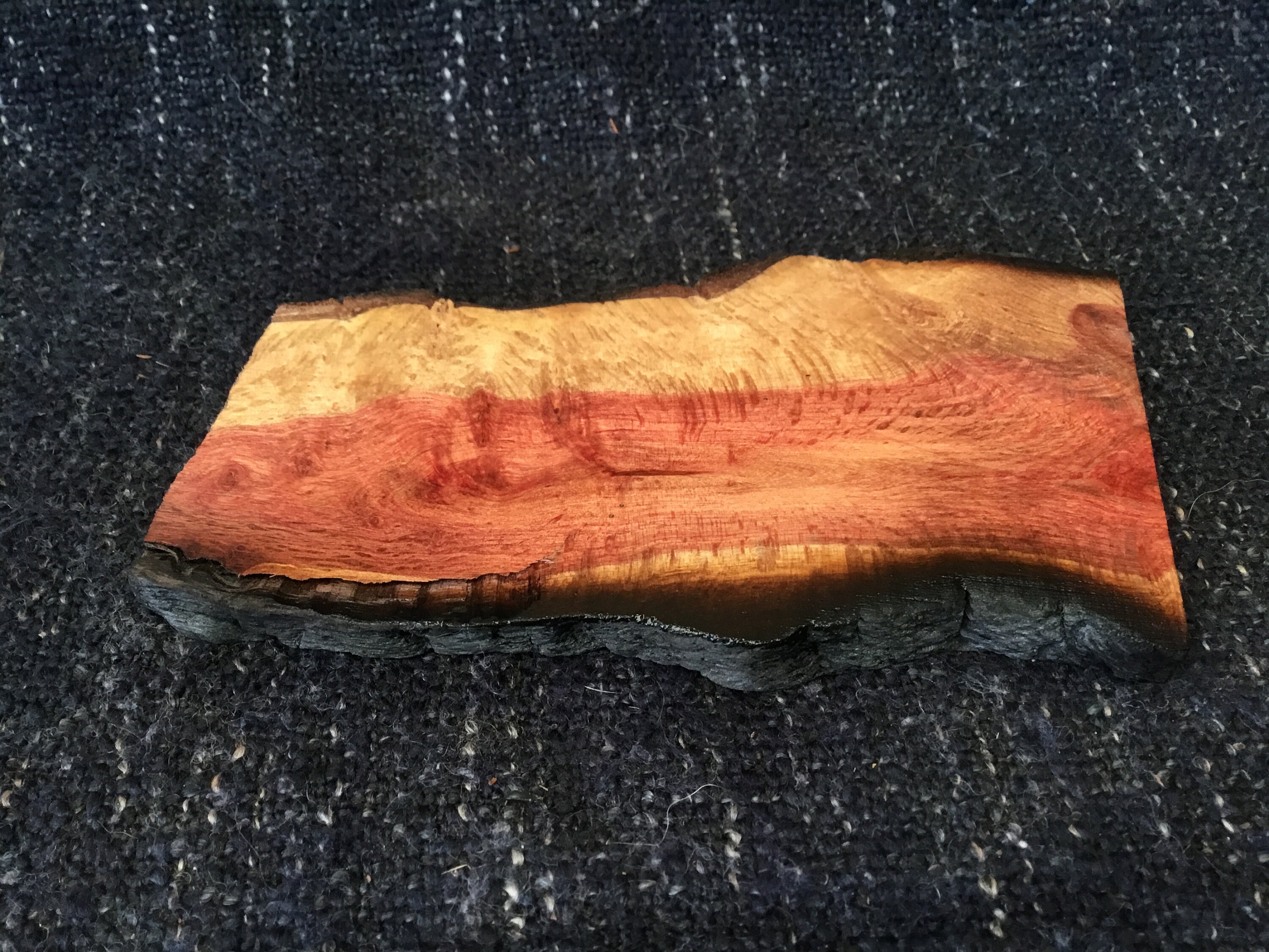 Australian Hardwood Slices Live Edge Timber Craft Wood. Model Etsy