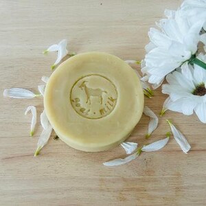 The Shampoo Bar image 2