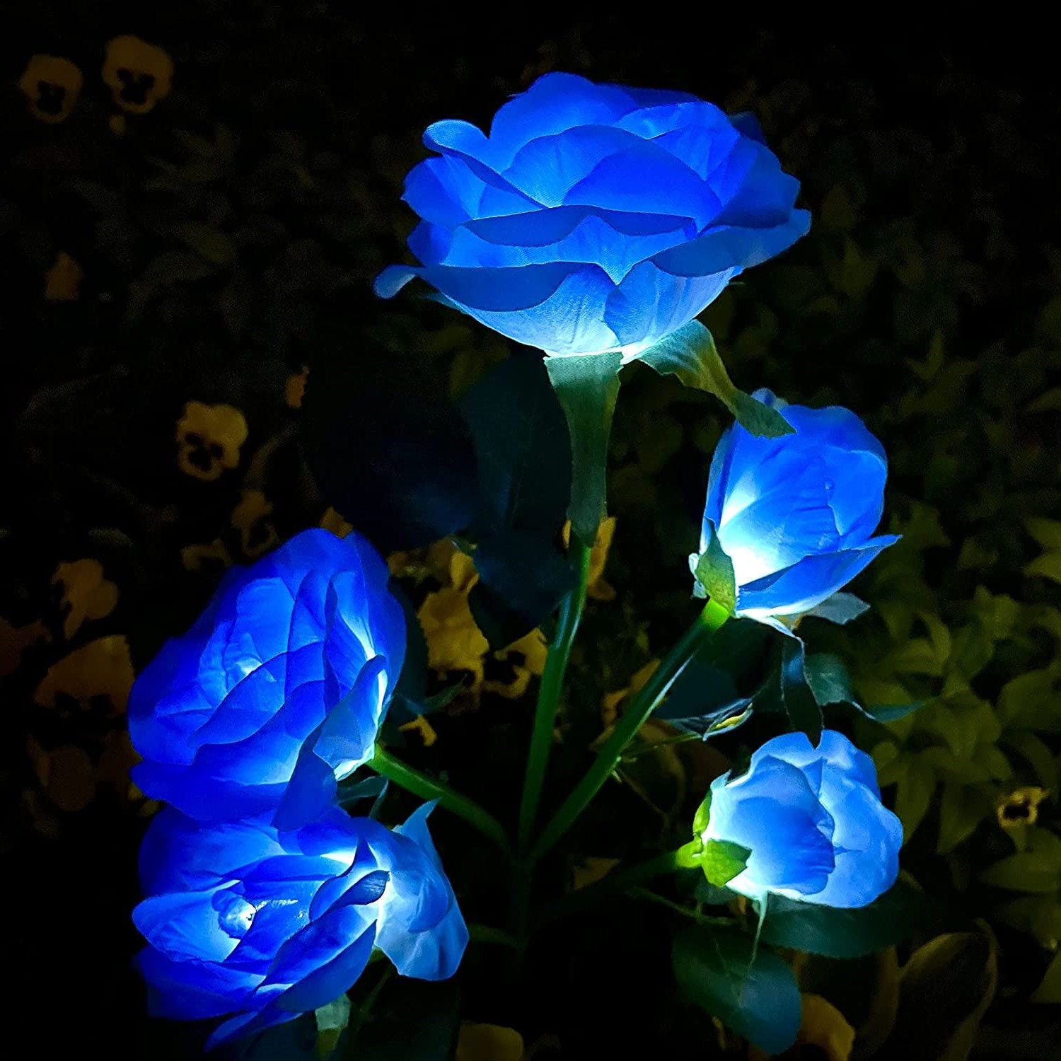 Blue Garden Rose - Etsy Singapore Blue Garden Rose - Etsy Singapore