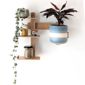 May include: A wooden wall-mounted shelf unit with three shelves, holding a green ceramic pot, two glass jars, and a small glass jar. A hanging planter with a blue and white ceramic pot holds a leafy plant with dark red leaves.