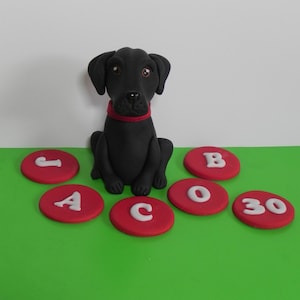Fondant labrador sale