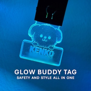 Op de afbeelding: Een blauw oplichtend huisdierlabel met een cartoon hond ontwerp en de naam "KENKO". Het label is verlicht met een blauwe gloed, met de tekst "GLOW BUDDY TAG" eronder.