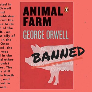 Banned Books Classroom Display