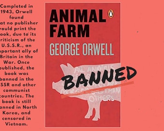 Banned Books Classroom Display