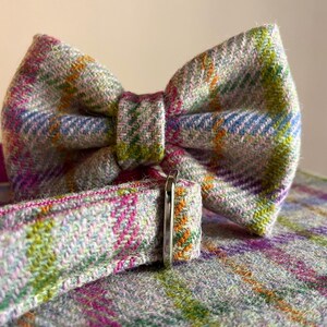 May include: A close-up of a gray, plaid bow tie with a matching collar. The bow tie and collar feature a pattern of blue, green, orange, and pink stripes. The collar has a silver metal buckle.