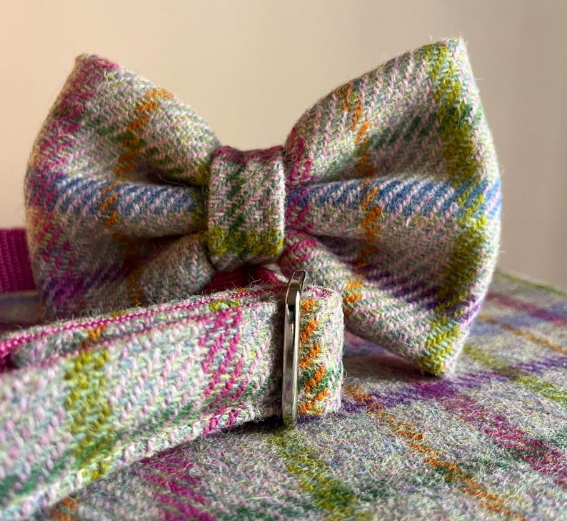 May include: A close-up of a gray, plaid bow tie with a matching collar. The bow tie and collar feature a pattern of blue, green, orange, and pink stripes. The collar has a silver metal buckle.
