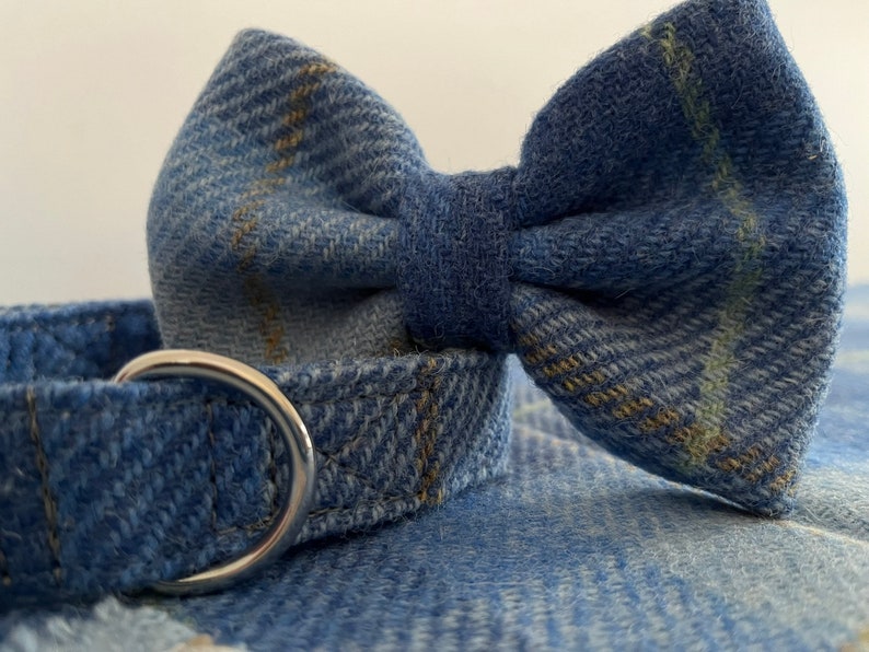 May include: Close-up of a blue denim dog collar with a matching bow tie. The collar has a silver metal ring. The bow tie and collar are made of a blue denim fabric with a subtle plaid pattern in yellow and green.