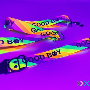 Goodboy Pride Leine und Halsband