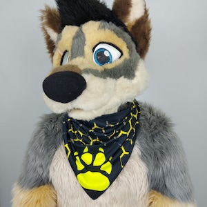 Large Paw Bandana