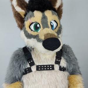 Bulldog harness