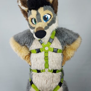Standard 2 strip harness with legstraps