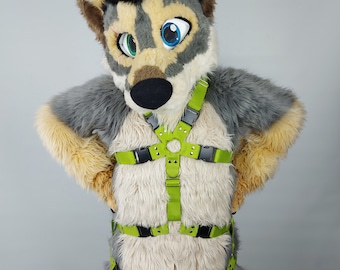 Standard 2 strip harness with legstraps
