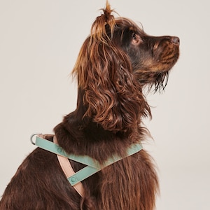 Vegan Leather Harness | Dog Harness | Leather Harness | Pet Accessory | Pastel Dog Harness | Adjustable Pet Harness | Cute Pet Harness