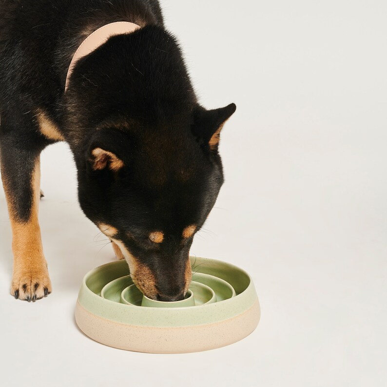 Ceramic Pet Bowl Slow Feed Bowl Cute Pet Bowl Dog Food Etsy