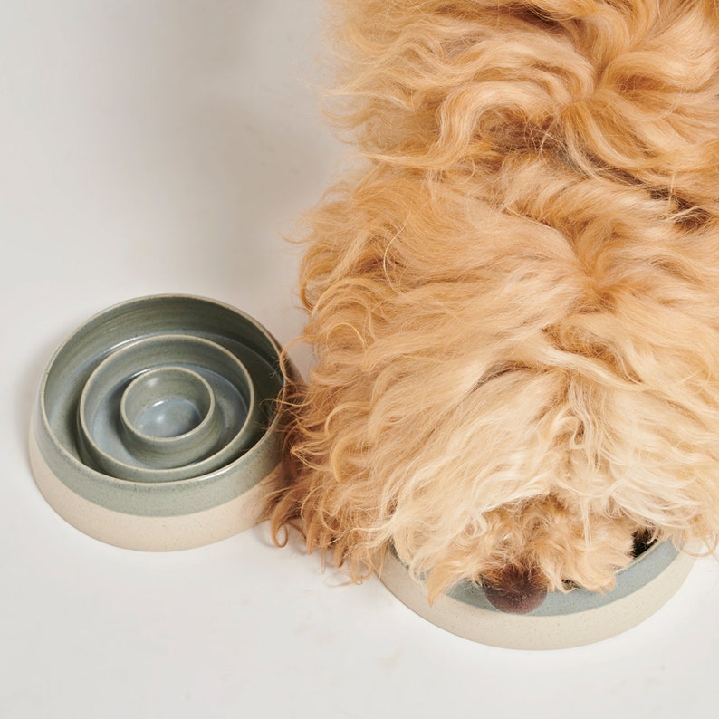 Ceramic Pet Bowl Slow Feed Bowl Cute Pet Bowl Dog Food Etsy
