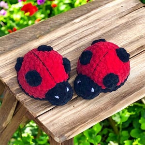 Può includere: Due oggetti di peluche a forma di coccinella. Ognuno ha un corpo rosso con macchie nere e una testa nera. Gli oggetti sono appoggiati su una superficie di legno invecchiato, con vegetazione e fiori sullo sfondo.