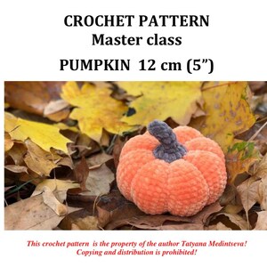 May include: A crocheted orange pumpkin with a gray stem, approximately 5 inches in diameter, sits on a bed of autumn leaves. The image includes text that reads "CROCHET PATTERN Master class PUMPKIN 12 cm (5")".