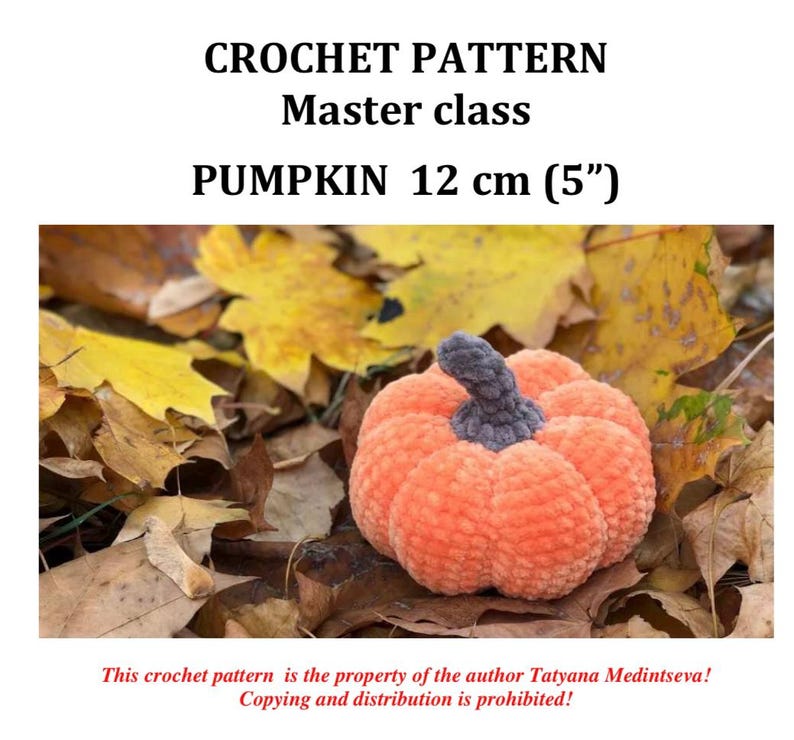 May include: A crocheted orange pumpkin with a gray stem, approximately 5 inches in diameter, sits on a bed of autumn leaves. The image includes text that reads "CROCHET PATTERN Master class PUMPKIN 12 cm (5")".
