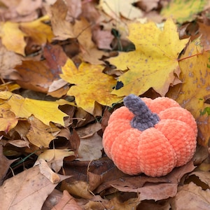 May include: An orange plush pumpkin with a gray stem rests among fallen autumn leaves. The pumpkin is a soft, round shape, perfect for fall decor. The leaves are various shades of brown and yellow.