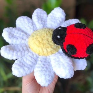 May include: A handmade crochet daisy with white petals and a yellow center, accompanied by a red ladybug with black spots. The ladybug is positioned on the daisy, creating a whimsical and playful design.