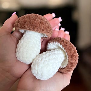 May include: Two handmade crochet mushrooms. The mushroom caps are brown, and the stems are white. The mushrooms are held in open hands. The crochet has a soft, textured appearance.