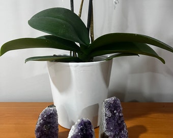 3 Pieces Raw Amethyst, Geode Cluster, perfect for anxiety...