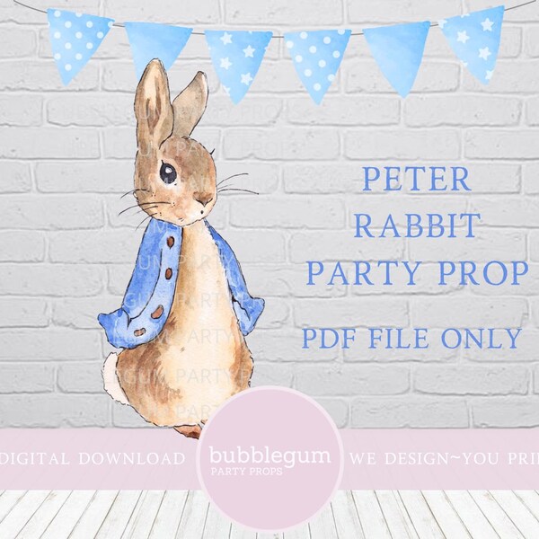 Peter Rabbit Favors - Etsy