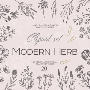 Clipart d’éléments vectoriels Moderne Herb 60. Brindilles et feuilles de scrapbooking vintage. Fleurs avec des lignes pour la coupe. Format.AI.SVG. Papouasie-Nouvelle-Guinée.