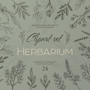 Herbier vectoriel 48 éléments vectoriels clipart. Brindilles et feuilles de scrapbooking vintage. Fleurs avec des lignes pour la coupe. Format.AI.SVG. Papouasie-Nouvelle-Guinée.