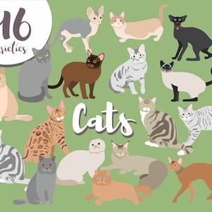 Bundle 40 silhouettes de chats, portrait d’animaux mignons, 15 races de chats, Abyssin, Maine Coon, Scottish Straight, Bengal cat. Formatez l’IA. SVG. Papouasie-Nouvelle-Guinée.