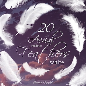 20 Witte veren clipart met transparante achtergrond, anime luchtveren, realistische veren, engel veren. PNG-indeling. Direct downloaden.