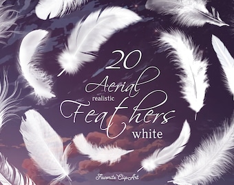 20 White feathers clipart with transparent background, anime air feathers, realistic feathers, angel feathers. PNG format. Instant download.