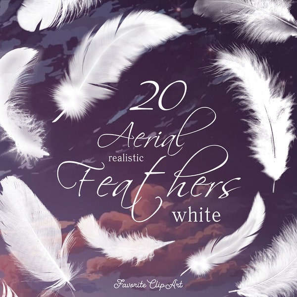 20 White feathers clipart with transparent background, anime air feathers, realistic feathers, angel feathers. PNG format. Instant download.