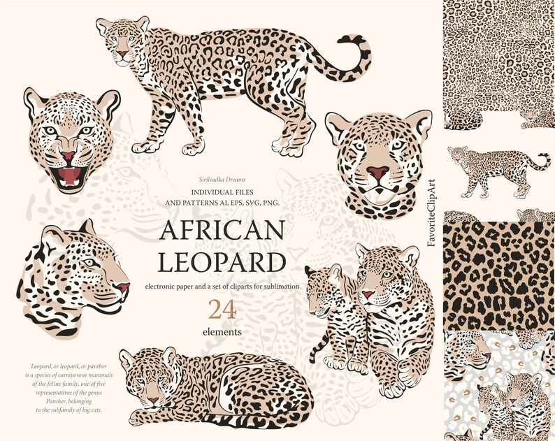 African Leopard Jaguar Panther Clipart. Lopard Spots - Etsy