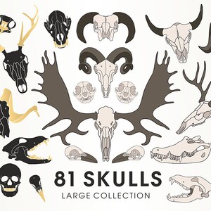 Collection de 81 cliparts de crâne. Silhouettes de crânes, crânes de tatouage. Crânes: humain, chat, chien, vache, cerf, oiseau, crocodile. Formatez l’IA. SVG. Papouasie-Nouvelle-Guinée.