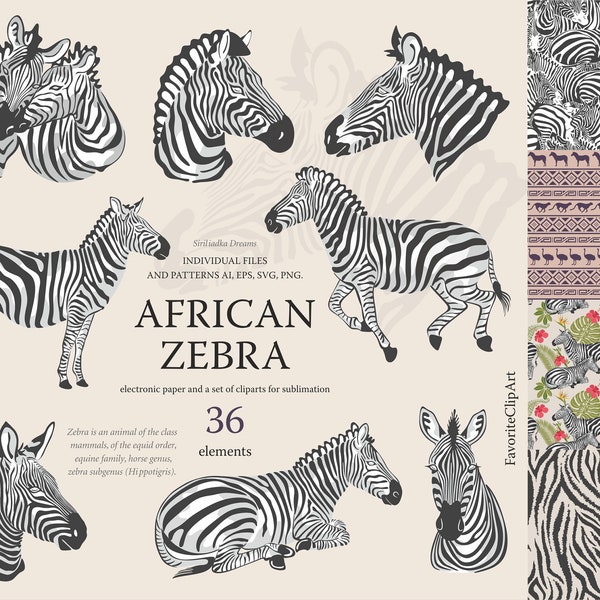 African zebras clipart, striped zebra patterns, striped spots. Jungle patterns. Tropical Digital Art - Safari Jungle Format AI. PNG.