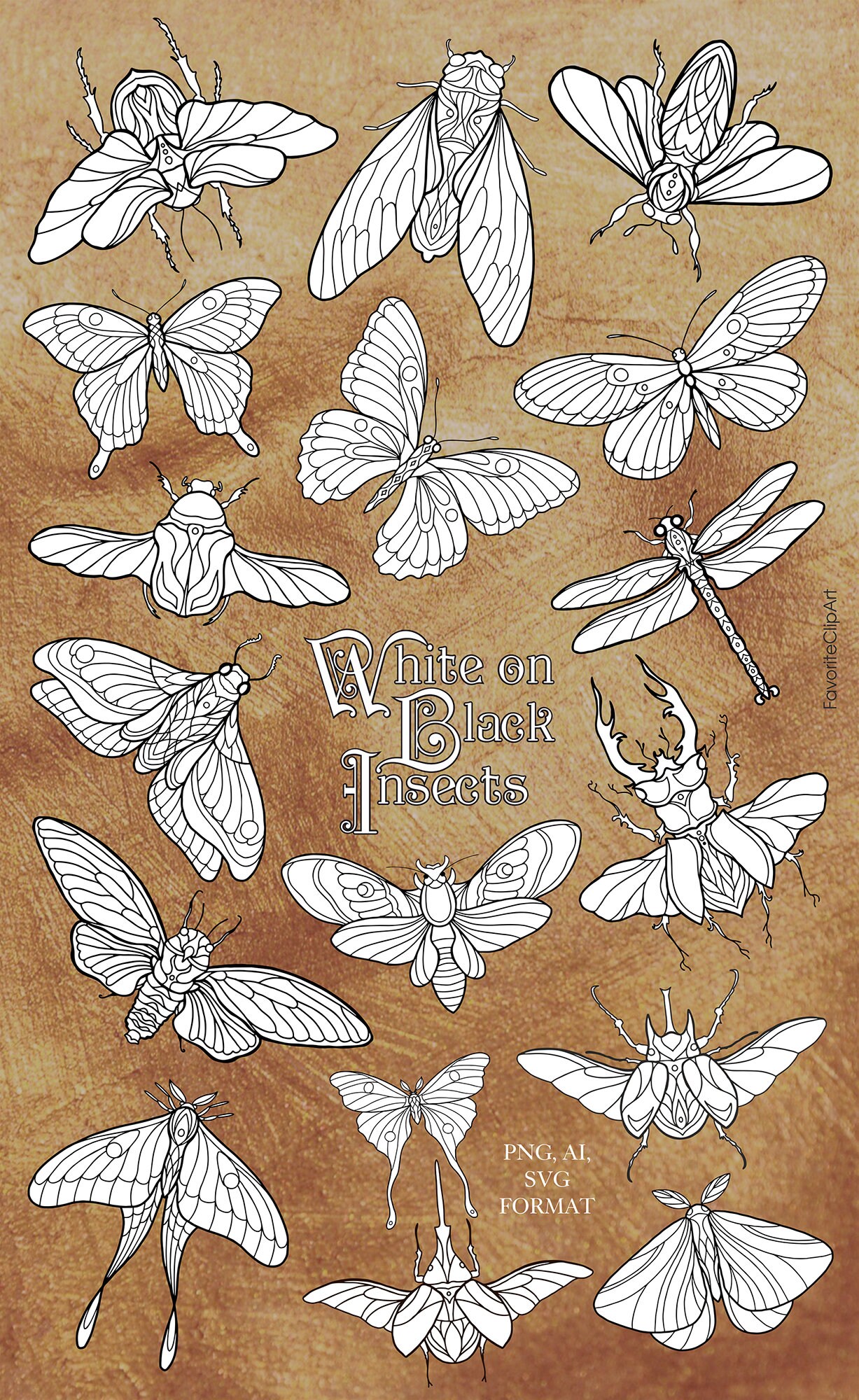 Collection of 68 Insects Clipart / Beetles in Lines for - Etsy