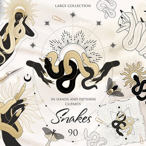 Slangen en reptielen clipart, composities met slangen, mystieke clipart. Geometrische composities. Python, cobra, melkslang. AI formatteren. SVG. PNG.