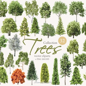 32 Especies de árboles clipart, árboles vectoriales, siluetas de árboles, formato: AI. EPS. PNG. Pino, Abedul, Fresno, Álamo, Arce, Roble, Aliso / Descarga instantánea