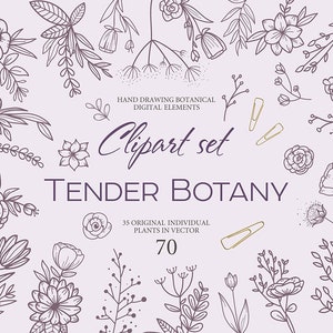 Botanique tendre 70 éléments vectoriels clipart. Brindilles et feuilles de scrapbooking vintage. Fleurs avec des lignes pour la coupe. Format.AI.SVG. Papouasie-Nouvelle-Guinée.
