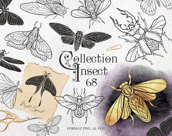 Collection of 68 insects clipart / Beetles in lines for stickers: butterflies, cicada, dragonfly. Clipart for cutting. Format AI. SVG. PNG.