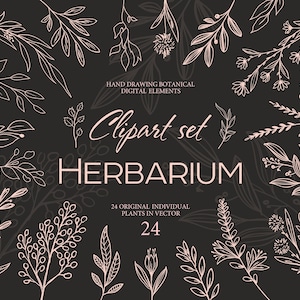 Herbier vectoriel 48 éléments vectoriels clipart. Brindilles et feuilles de scrapbooking vintage. Fleurs avec des lignes pour la coupe. Format.AI.SVG. Papouasie-Nouvelle-Guinée.