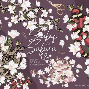 12 Composities van slangen en sakura clipart. Slangen clipart. Sakura bloemen en vlinders. Python, cobra, melkslang. AI formatteren. PNG.