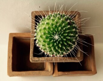 Set of 3 very small terracotta pots, handcrafted terracotta, unobtainable succulent plant pots, cactus pots