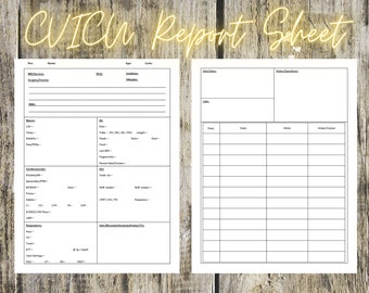 nursing report sheet cardiac CVICU Report Sheet