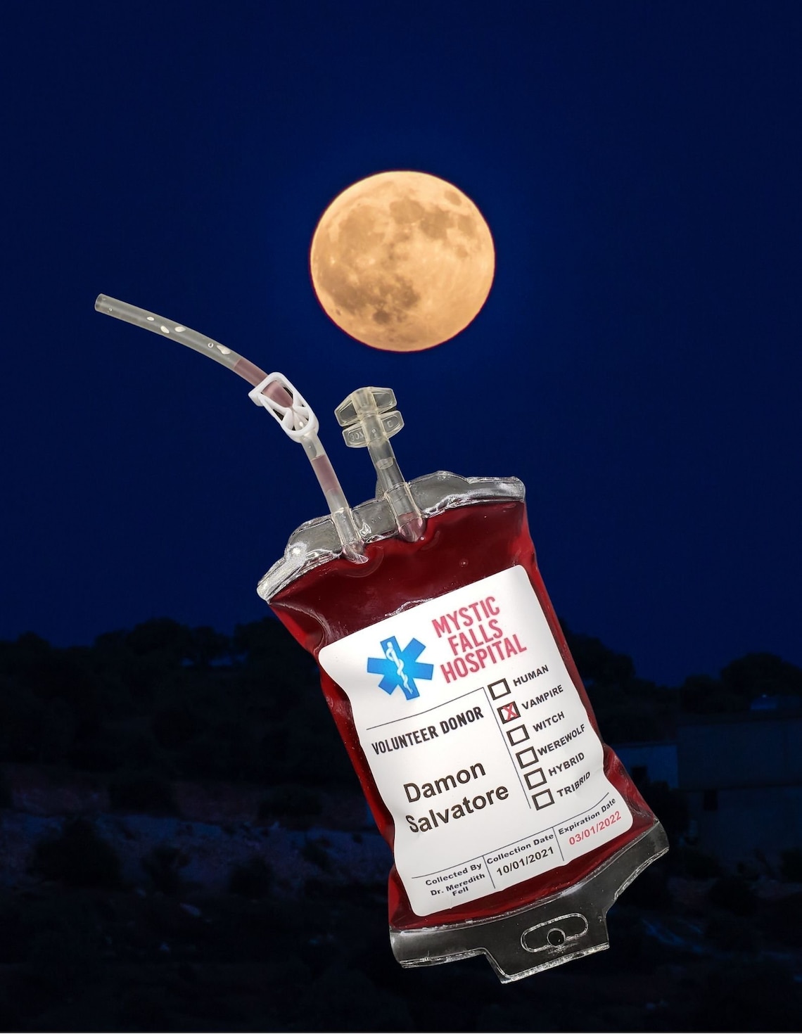 The Vampire Diaries Blood Bag Drinkable Mystic Falls Hospital Etsy Australia
