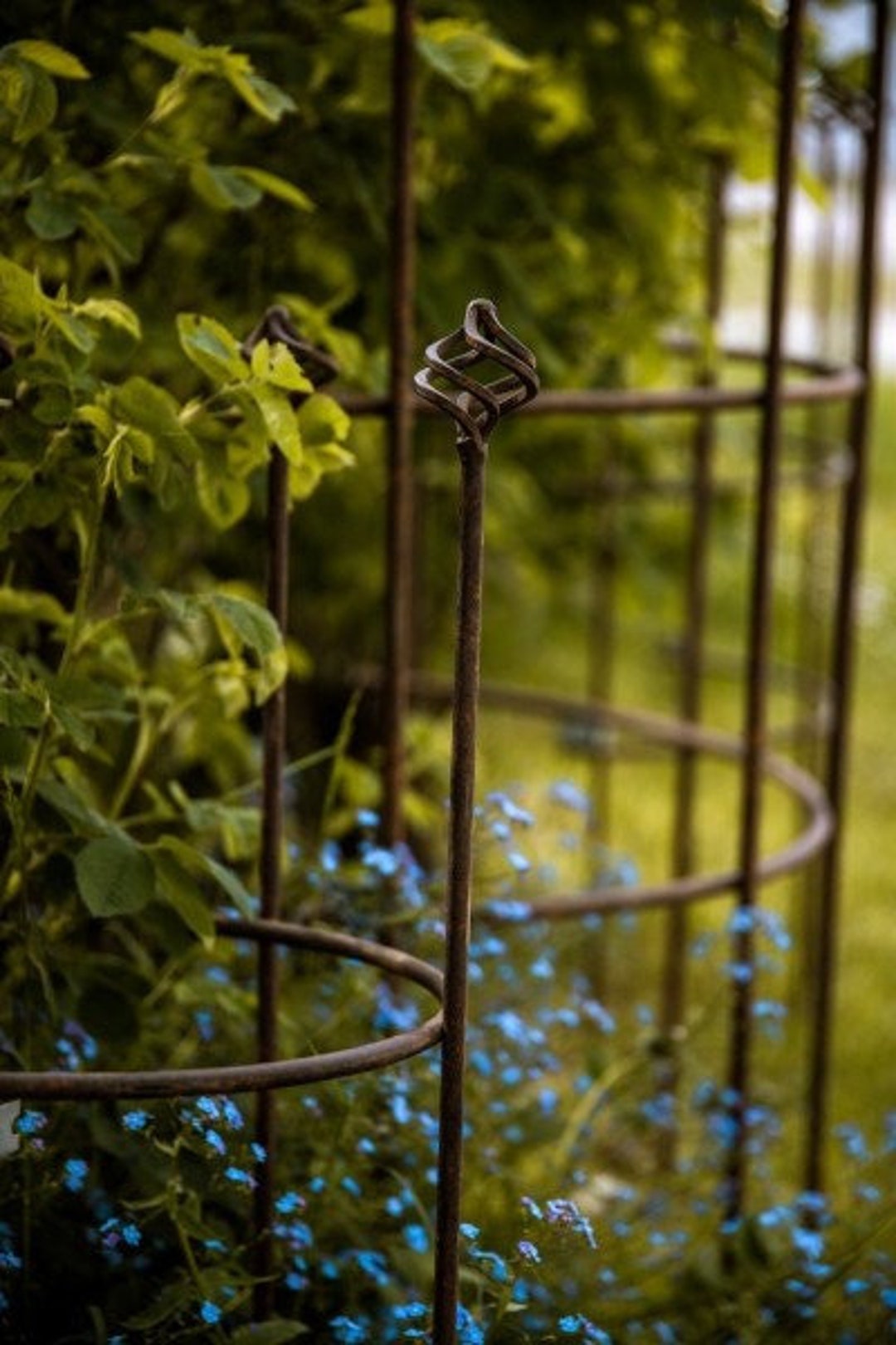 Halfround Trellis Perennial Support Trellis Perennial Etsy