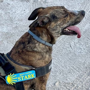 Camino de Santiago St James Way , Personalized Dog Harness Patches Julius K9 Labels Name Badge Velcro Backing  .A102