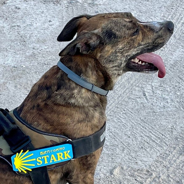 Julius K9 Label Etsy